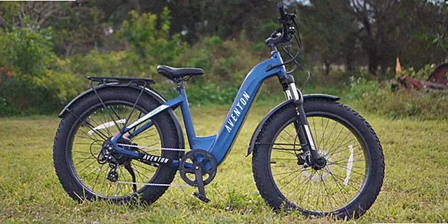Aventure.2 Step-Through Ebike - Cobalt Blue / Large